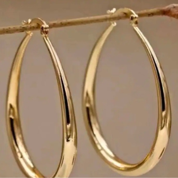 New 1 pair Elegant Hoop Earrings for Women - Hypoallergenic - Picture 1 of 4